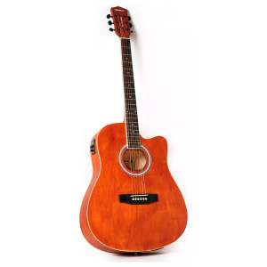 VIOLAO ELET-ACUST ( 6 CORDAS DE ACO ) MARCA WALDMAN BN