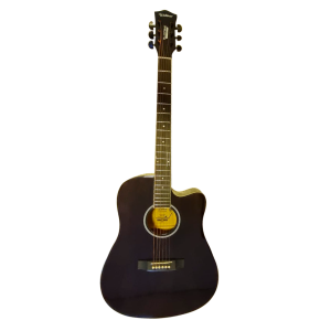 VIOLAO ELET-ACUST ( 6 CORDAS DE ACO ) MARCA WALDMAN GY