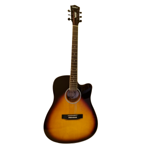 VIOLAO ELET-ACUST ( 6 CORDAS DE ACO ) MARCA WALDMAN VS