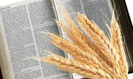 historia-liturgia-crista
